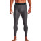 Leggings Under Armour HeatGear Carbon