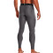 Leggings Under Armour HeatGear Carbon