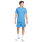 Camiseta Nike Dri-Fit Training