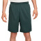 Calções Nike Dri-Fit Totality Knit