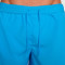 Pantalón corto Nike Dri-FIT Challenger