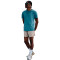 Camiseta Nike Dri-Fit