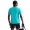 Camiseta Nike Dri-Fit