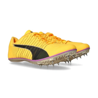 Sapatilha Evospeed Brush 6