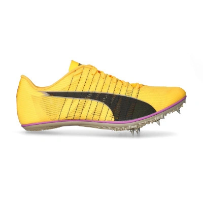 Scarpe Evospeed Brush 6