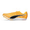 Puma Evospeed Distance 11 Running shoes
