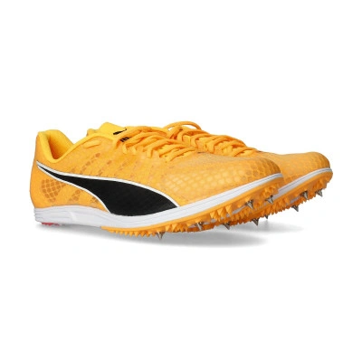 Evospeed Distance 11 Running shoes