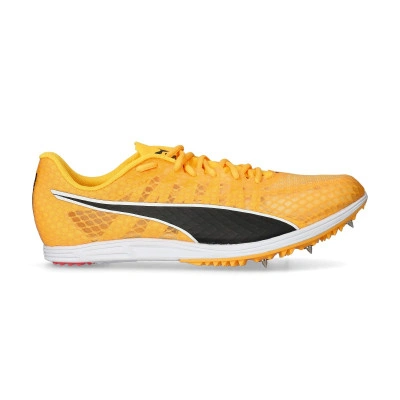 Scarpe Evospeed Distance 11