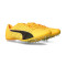Sapatilha Puma Evospeed Future 6
