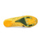 Sapatilha Puma Evospeed Future 6