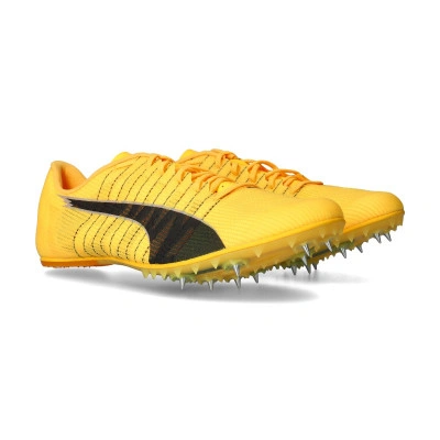 Sapatilha Evospeed Future 6