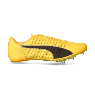 Scarpe Evospeed Future 6