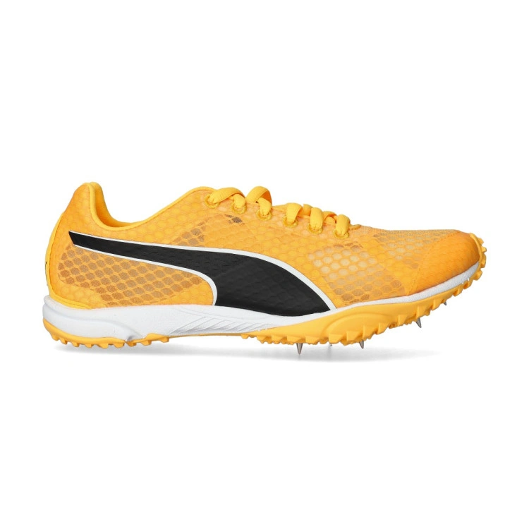 zapatilla-puma-evospeed-haraka-8-1