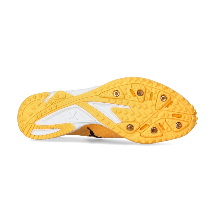 zapatilla-puma-evospeed-haraka-8-3