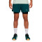 Pantalón corto Puma Run Velocity 2en1