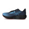 Mizuno Wave Rider 29 Amsterdam Running shoes