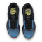 Mizuno Wave Rider 29 Amsterdam Running shoes