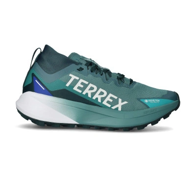 Zapatilla Terrex Agravic Gore-Tex