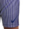 Calções Nike Nk Dfadv Aroswft Bf Htight