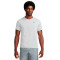 Camiseta Nike Nk Df Uv Miler