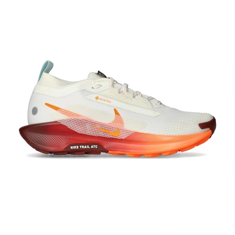 zapatilla-nike-pegasus-trail-5-gore-tex-mujer-grey-1