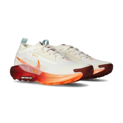 Sapatilha Pegasus Trail 5 Gore-Tex  Mulher