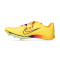 Nike Air Zoom LJ Elite Running shoes