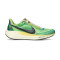Zapatilla Nike Pegasus 41 SE