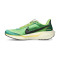 Zapatilla Nike Pegasus 41 SE