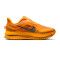 Zapatilla Nike Pegasus Premium Lv8