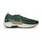 Tenis Nike Pegasus Trail 5 Gore-Tex