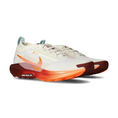 Sapatilha Pegasus Trail 5 Gore-Tex