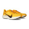 Zapatilla Nike Pegasus Plus Lv8