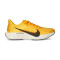 Zapatilla Nike Pegasus Plus Lv8