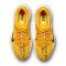 Zapatilla Nike Pegasus Plus Lv8