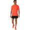 Pantalón corto ASICS Metarun 5"