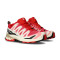 Zapatilla Salomon XA Pro 3D V9 Mujer
