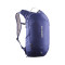 Mochila Trailblazer (10 L)
