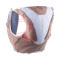 Colete Running Com Garrafas Incluídas Adv Skin 12 Mulher iron