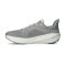 ALTRA Experience Flow 2 Running shoes