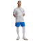 Under Armour Vanish Woven 6" Shorts