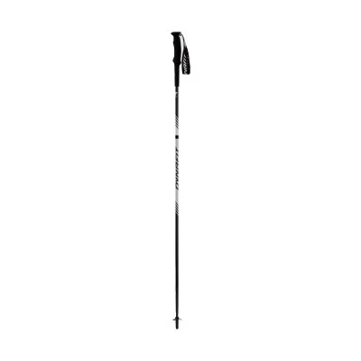 Bastões Alpine Pro Pole nimbus