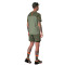 T-Shirt Dynafit Alpine Pro