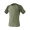 T-Shirt Dynafit Alpine Pro