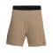Dynafit Alpine Pro 2-1 Shorts