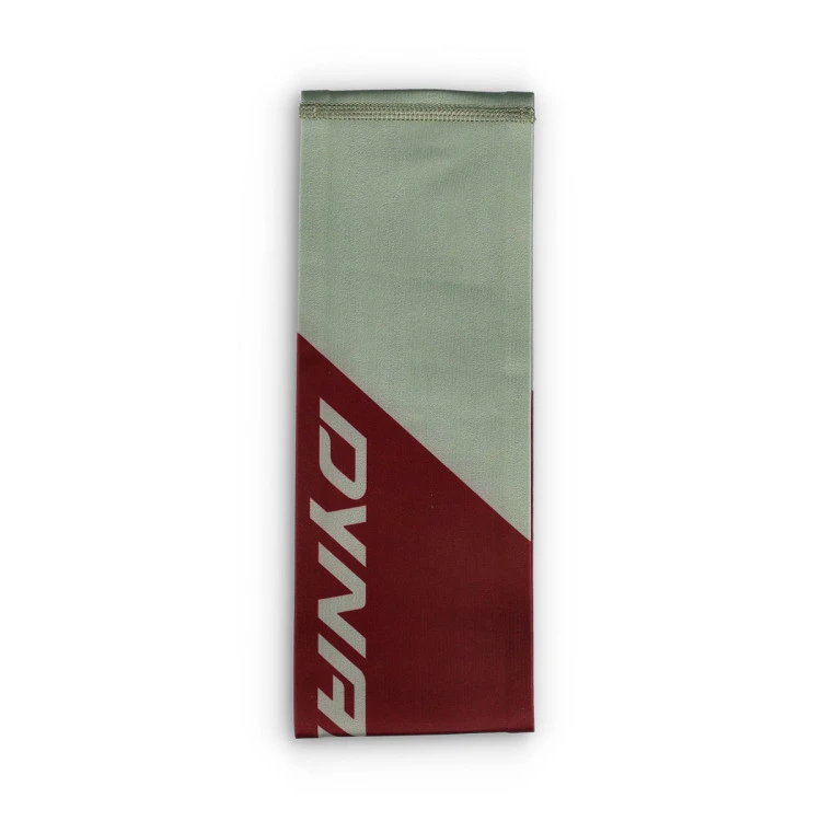 cinta-dynafit-performance-2-dry-headband-sage-1