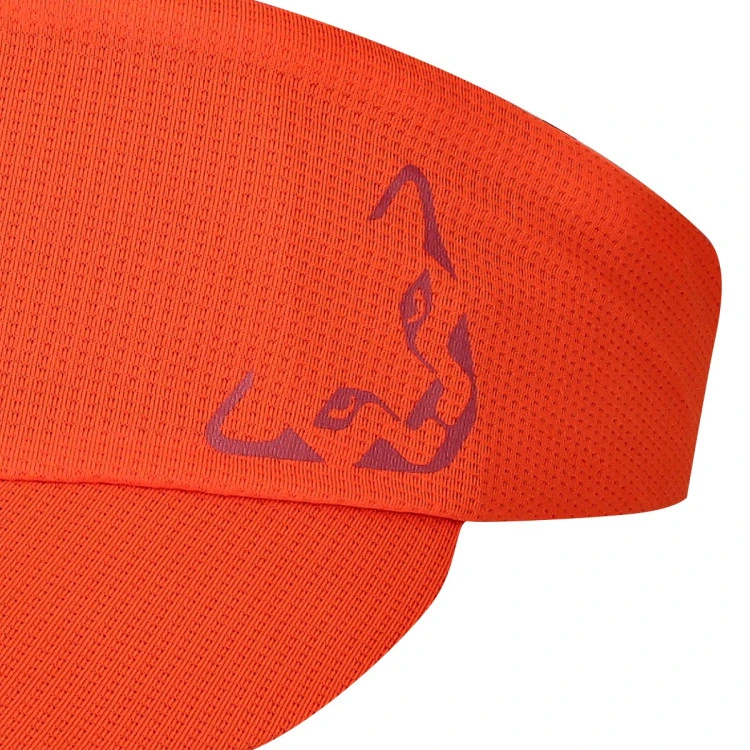 cinta-dynafit-alpine-visor-2