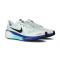 Sapatilha Nike Pegasus 41