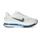 Nike Pegasus Premium Running shoes