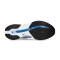 Nike Pegasus Premium Running shoes